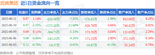 瑶鸿配资 股票行情快报：武商集团（000501）6月11日主力资金净卖出655.18万元