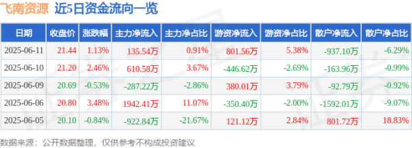 鸿泰利创 股票行情快报：飞南资源（301500）6月11日主力资金净买入135.54万元