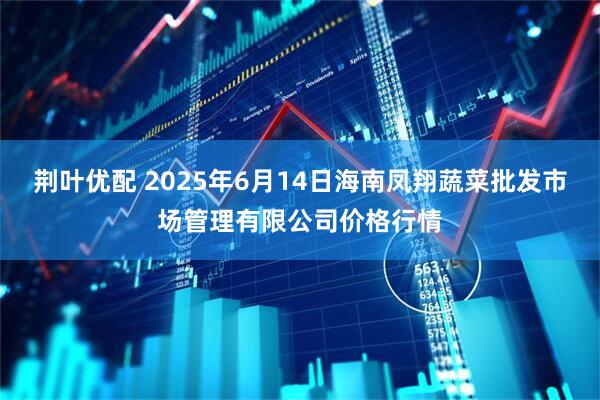荆叶优配 2025年6月14日海南凤翔蔬菜批发市场管理有限公司价格行情