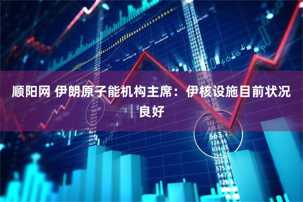 顺阳网 伊朗原子能机构主席：伊核设施目前状况良好